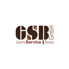 GSBozan_logo_neu_web-1-300x152